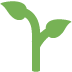 🌱 Semis Emoji Signification