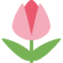 🌷 Tulipe Emoji Signification
