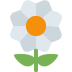 🌼 Fleur Emoji Signification