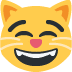 😸 Chat souriant aux yeux souriants signification emoji