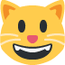 😺 Chat souriant Emoji Signification